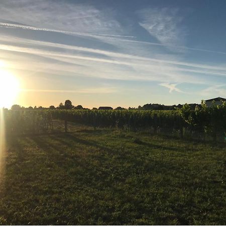L'Oree Des Vignes Σεντ Εμιλιόν Εξωτερικό φωτογραφία